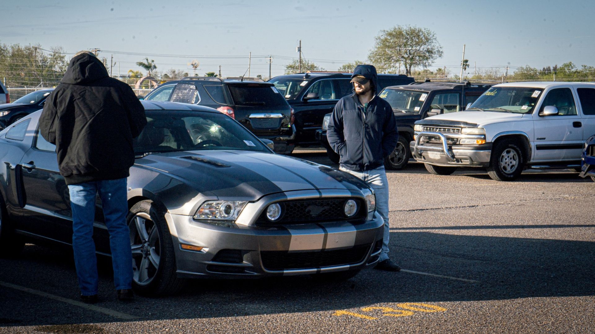 Big Valley Auto Auction Weekly Inventory vs Buy Now Inventory